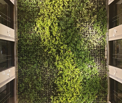 Hash Six Hotels主图