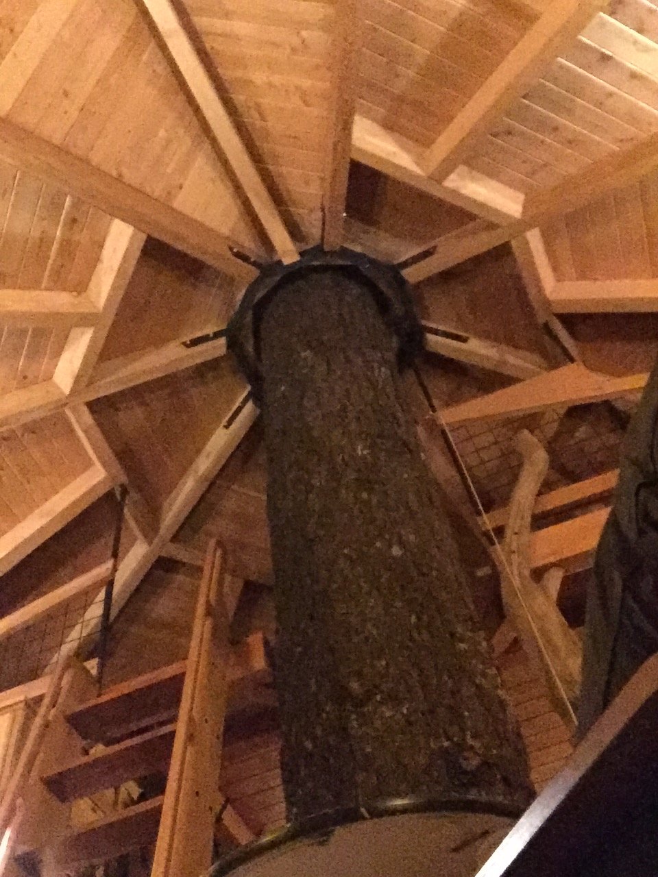 Skamania Coves Resort-官方