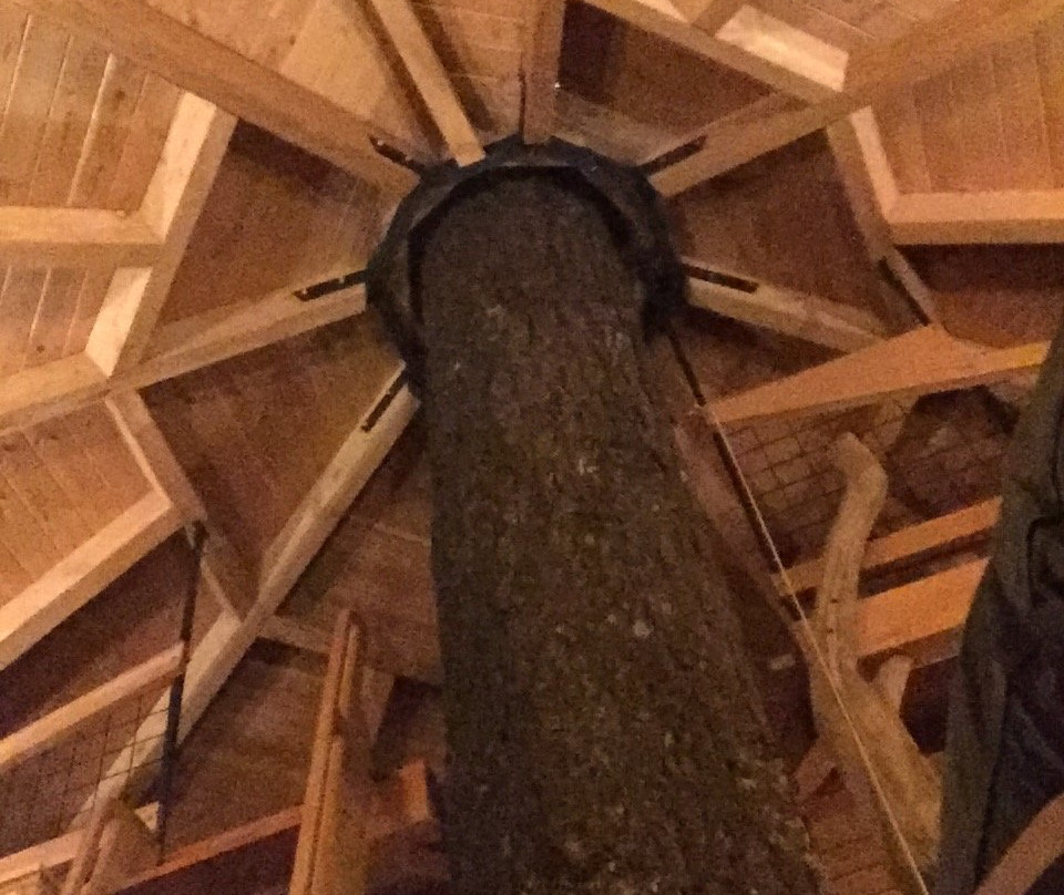 Skamania Coves Resort主图