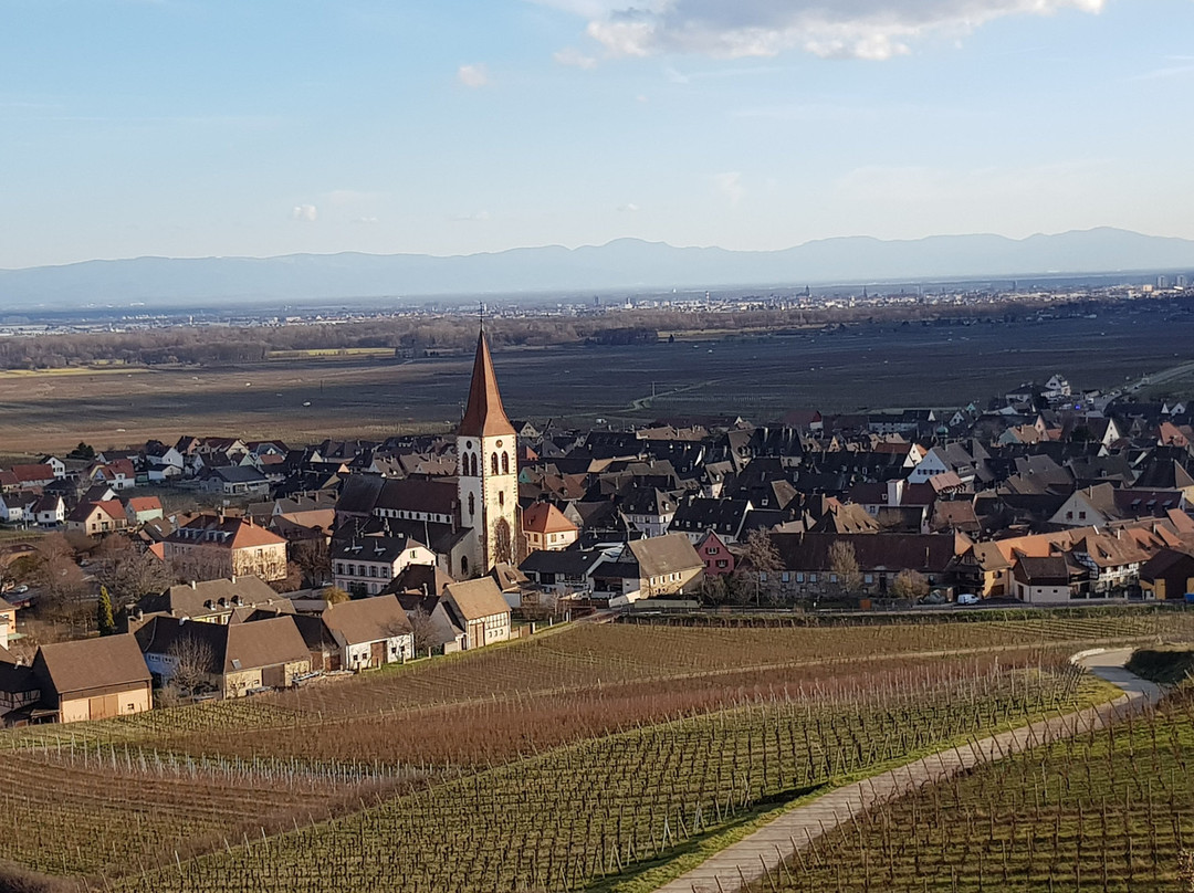 Village d'Ammerschwihr景点图片