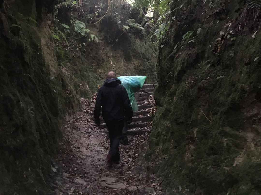 Nagarkot Panoramic Hiking Trail-纳加阔特必去景点