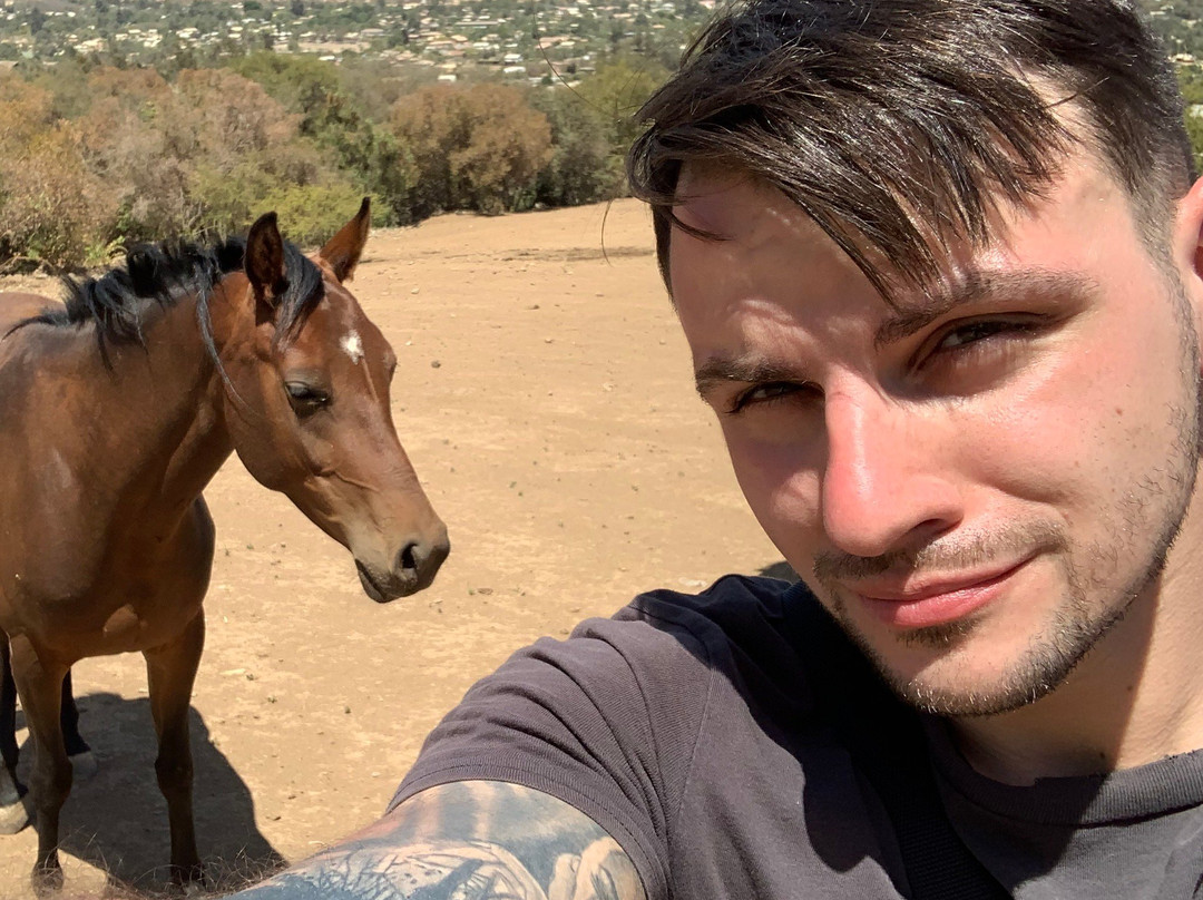 Rancho Vida Sana-Olmue必去景点