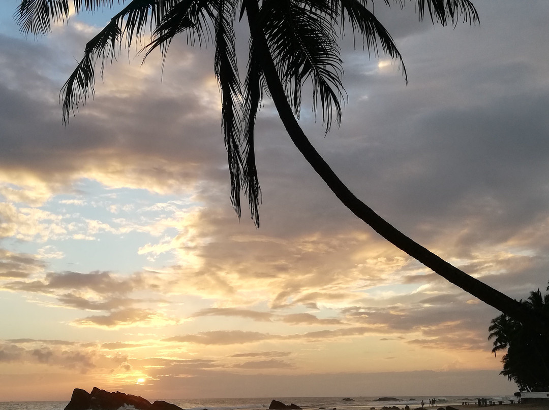 Galle Unawatuna Cooking Class by AGS-加勒必去景点