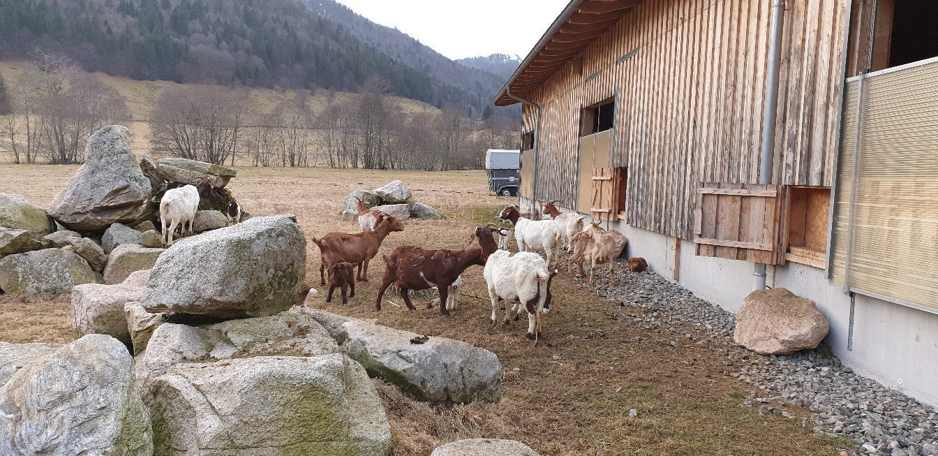 Hotel Grossbach-官方