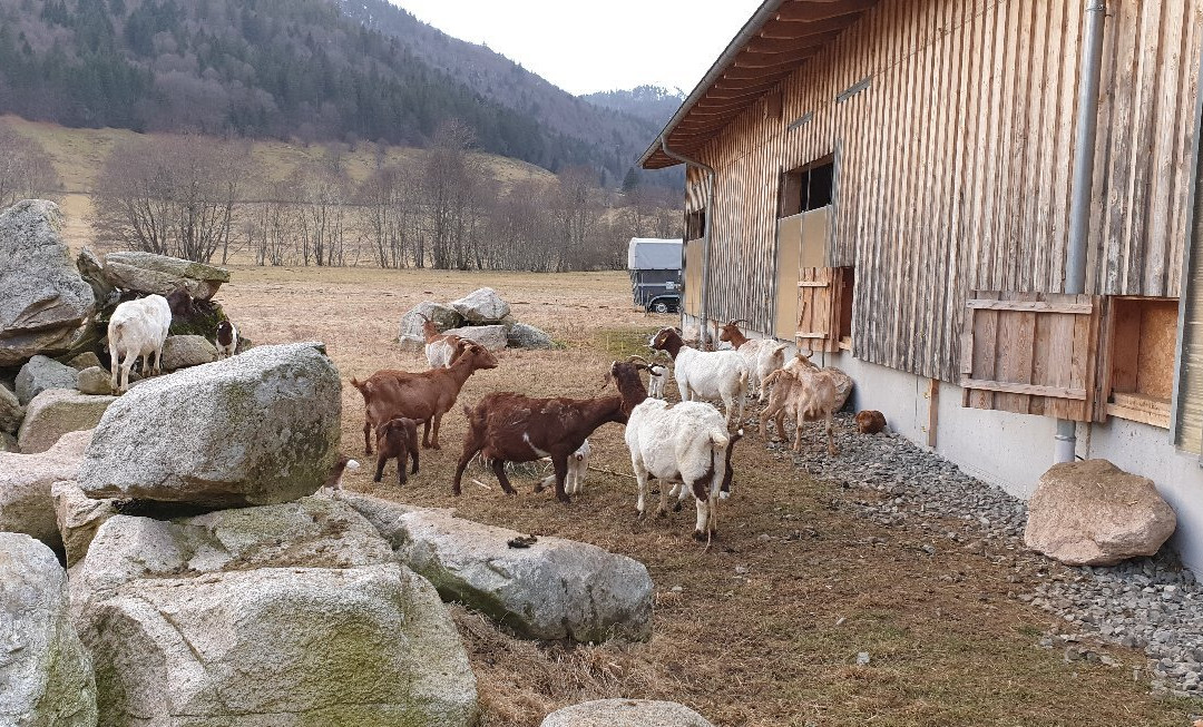 Hotel Grossbach主图