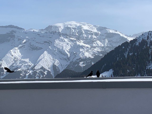 Club Med Grand Massif Samoens Morillon-餐饮
