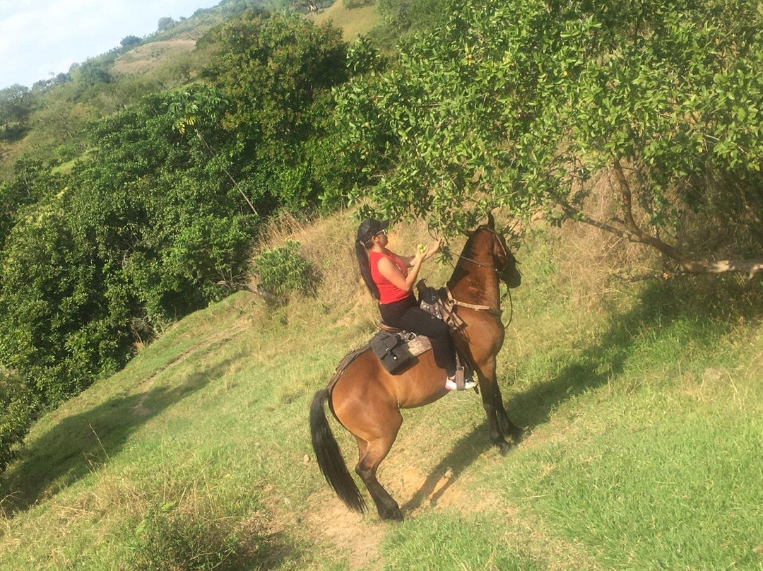 Cabalgatas El Carmelo-La Tebaida必去景点