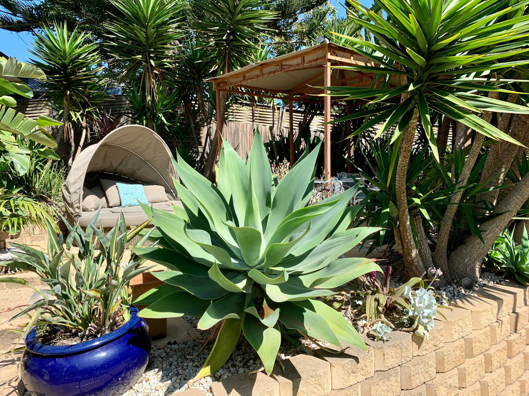 Plantation House at Whitecliffs主图