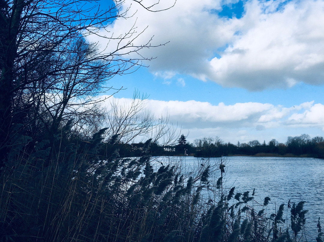 Eastbrookend Country Park景点图片