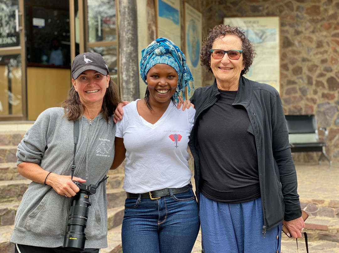 Matriarch Hill Safari-莫西必去景点