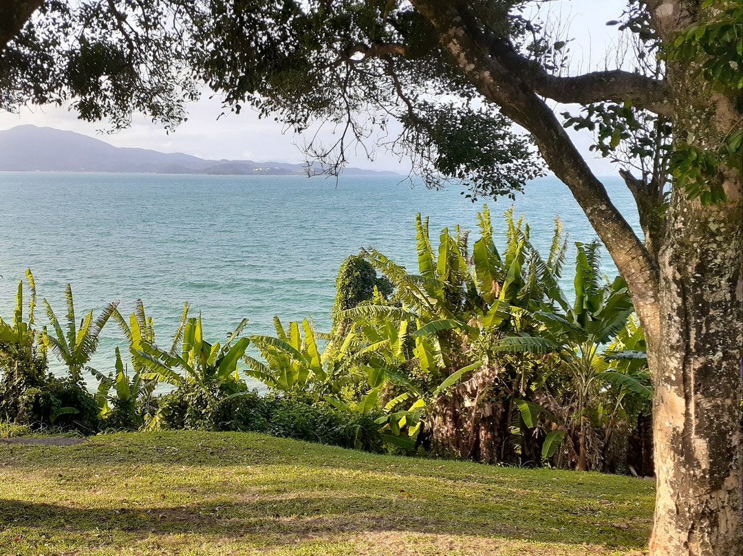 Praia do Forte景点图片