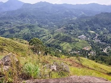 Professional & Well Priced Taxi Service-Demodara必去景点