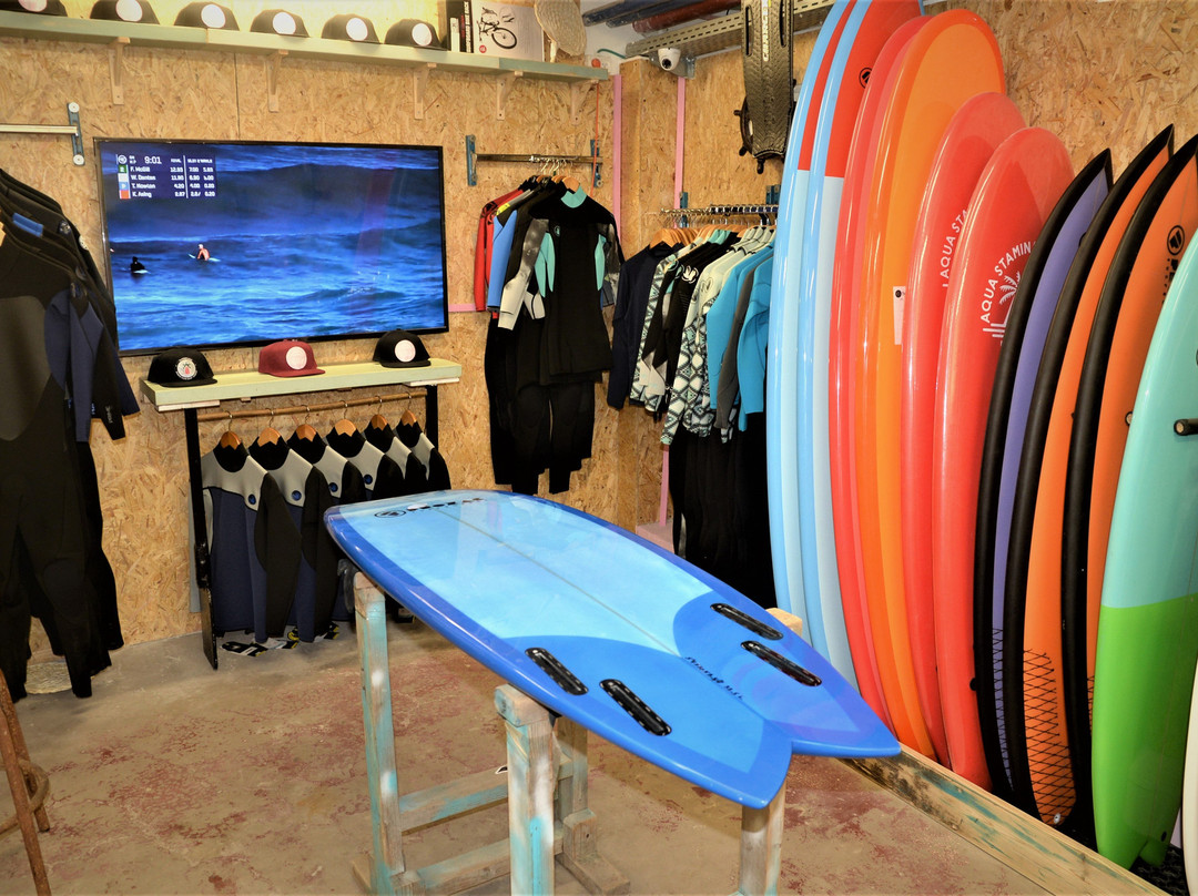 Go Surf TLV-特拉维夫必去景点