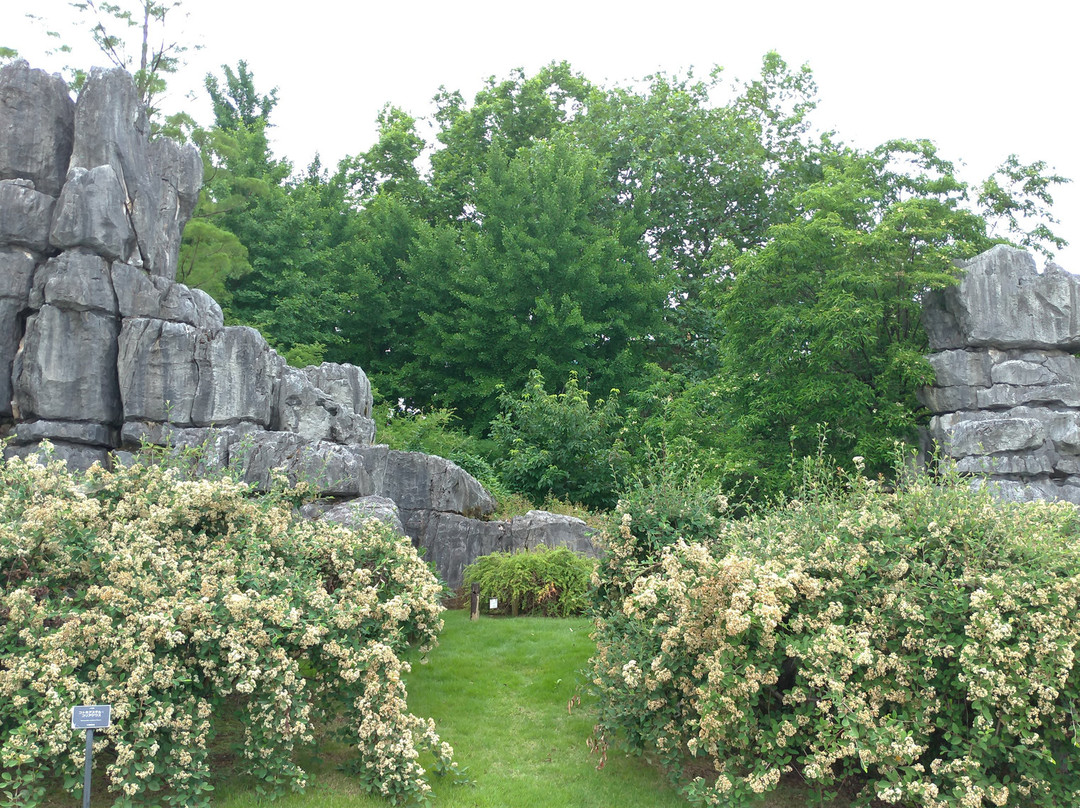 Botanic Gardens of Toyama-富山市必去景点