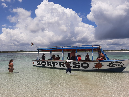 Kibo junior safari-瓦塔木必去景点