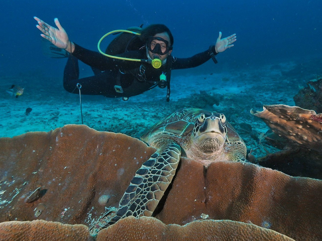 Raja Ampat Dive Center-Gam Island必去景点