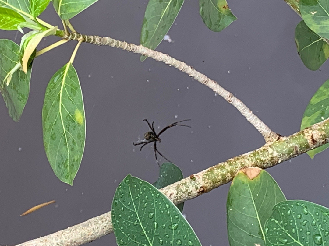 Kalamina Gorge-Karijini National Park必去景点