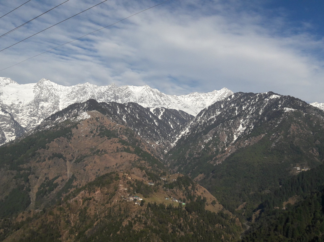 M Hotel & Restaurant主图