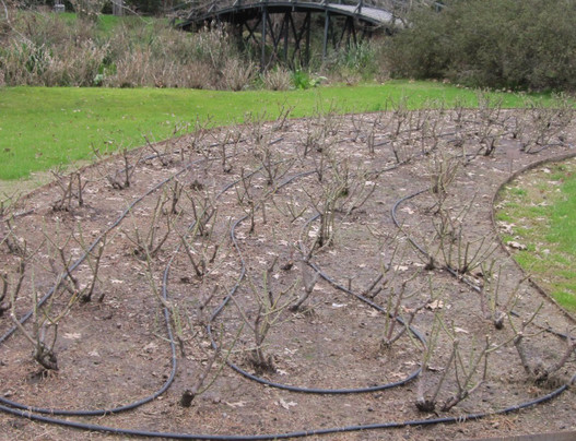 Isla El Descanso-布宜诺斯艾利斯必去景点