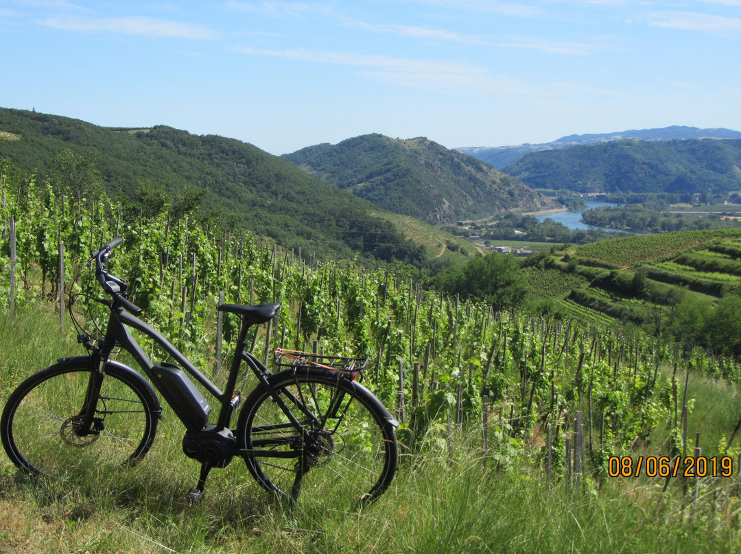 Stations Bee's Tournon-sur-Rhone - Location vélos électriques景点图片