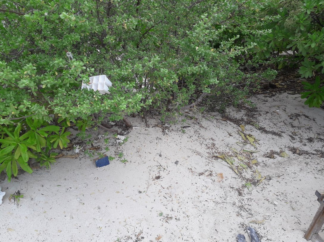 Sand Bank景点图片