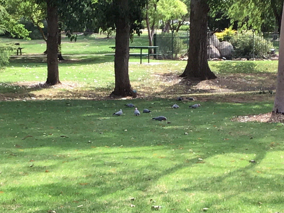 Barooga Botanical Gardens-Barooga必去景点