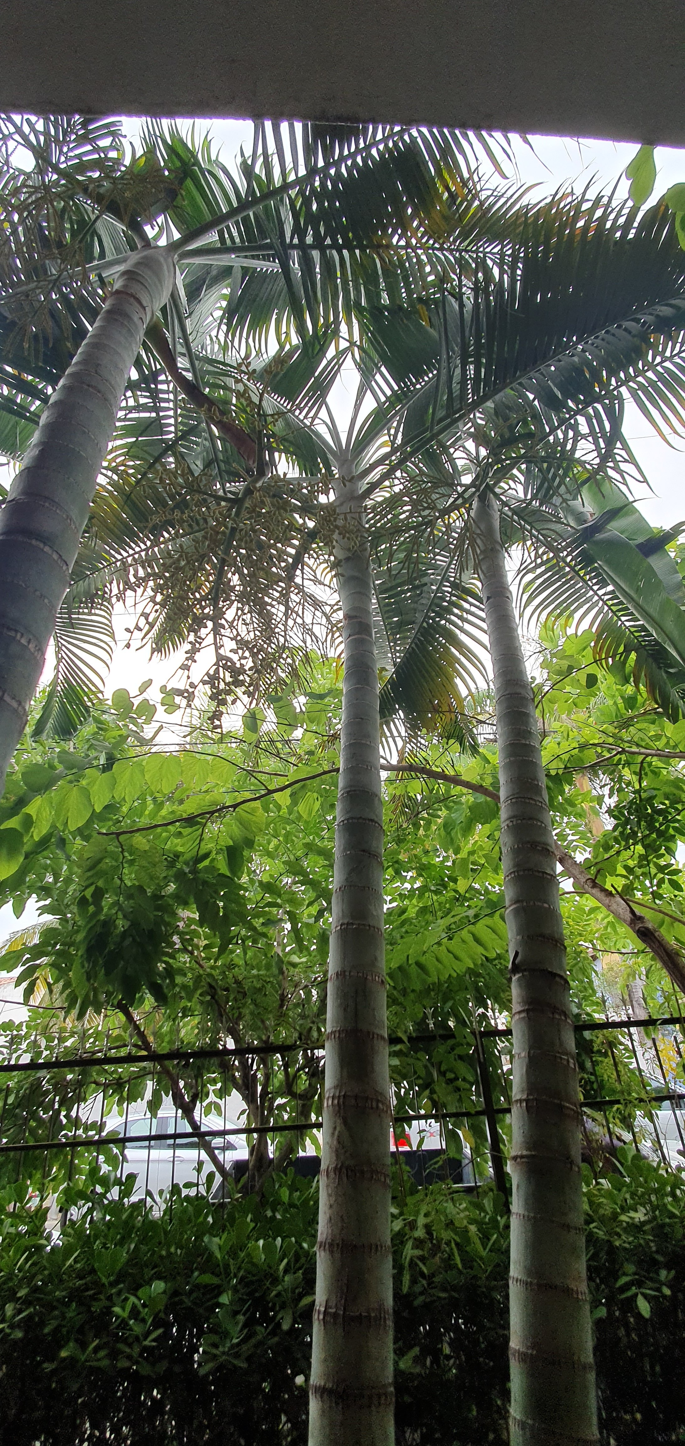 Pousada Praia do Frances-官方