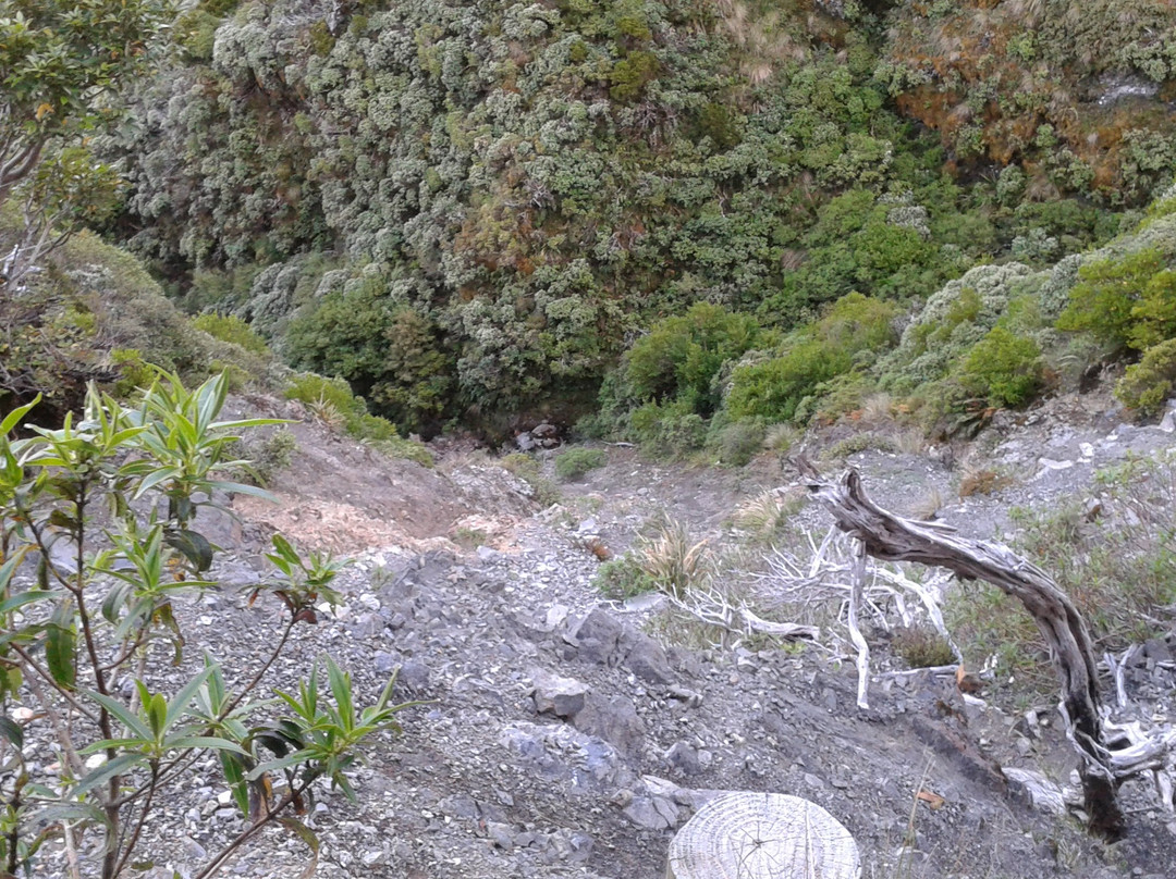 Rangiwahia Hut Track景点图片