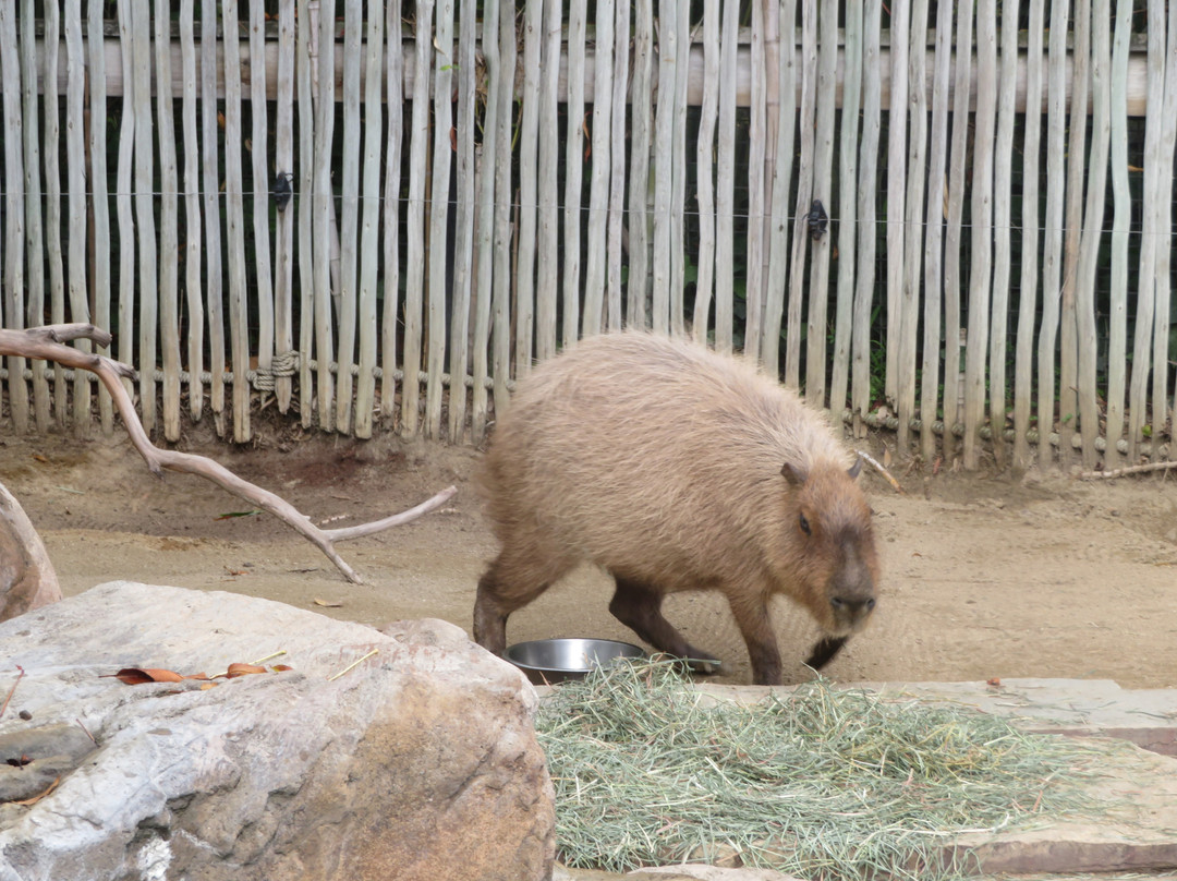 快乐山谷公园和动物园-圣何塞必去景点