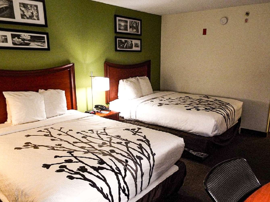 Sleep Inn & Suites主图