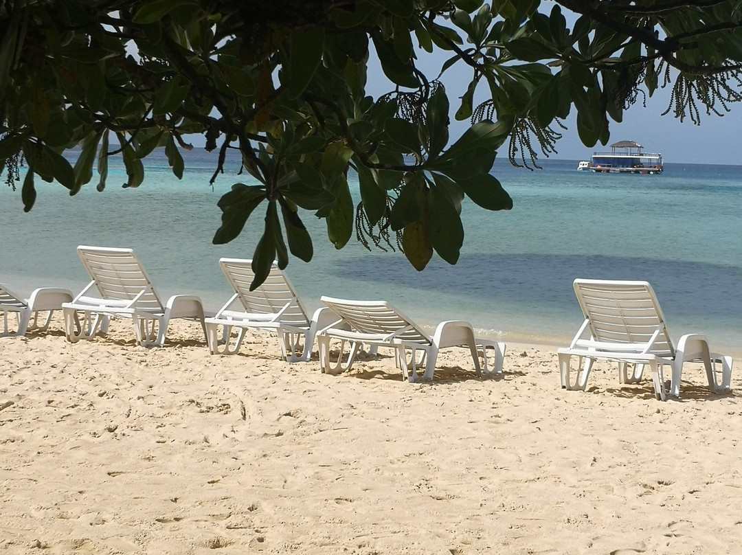 Jupiter Sunrise Lodge主图