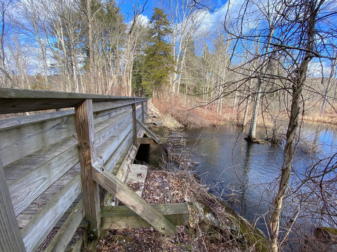 Saugatuck Falls Natural Area
