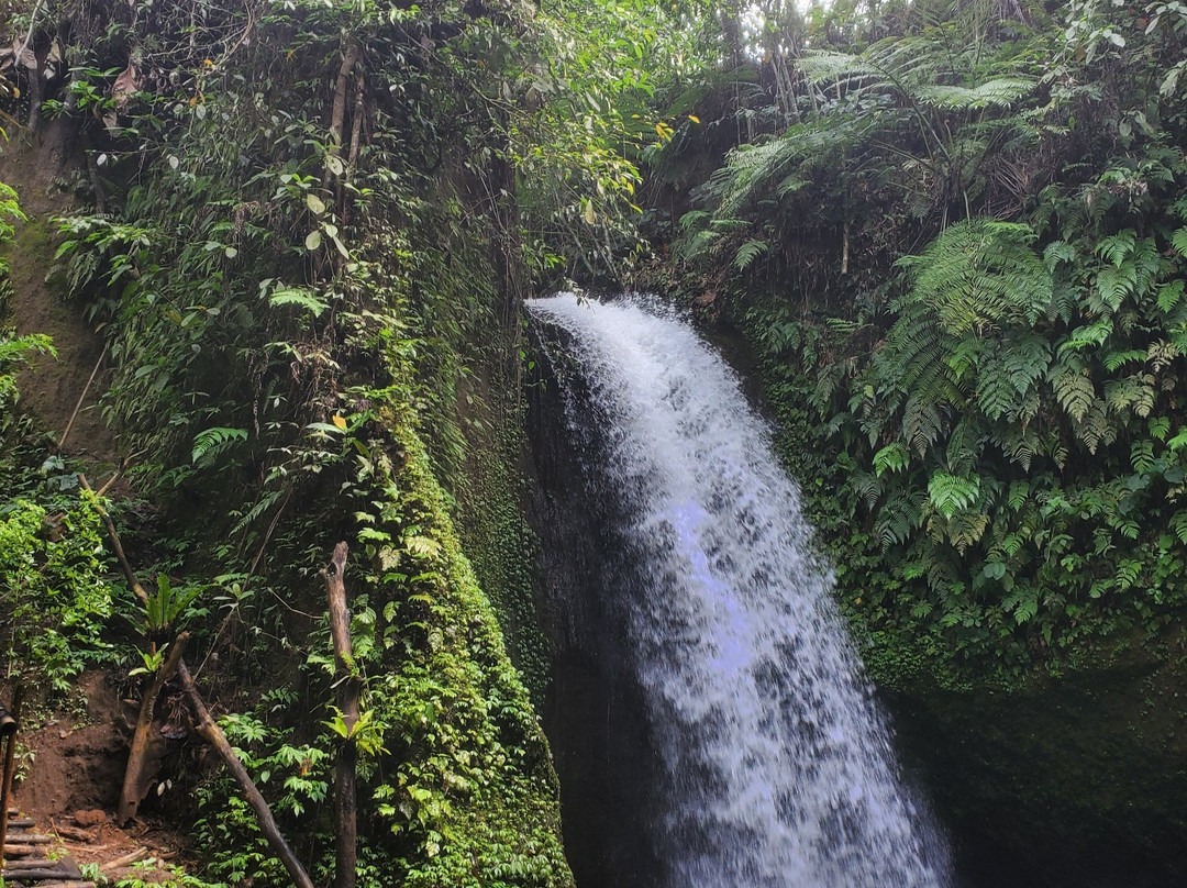 Manuaba Waterfall景点图片