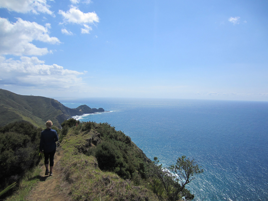 Te Paki Coastal Track-Te Paki必去景点