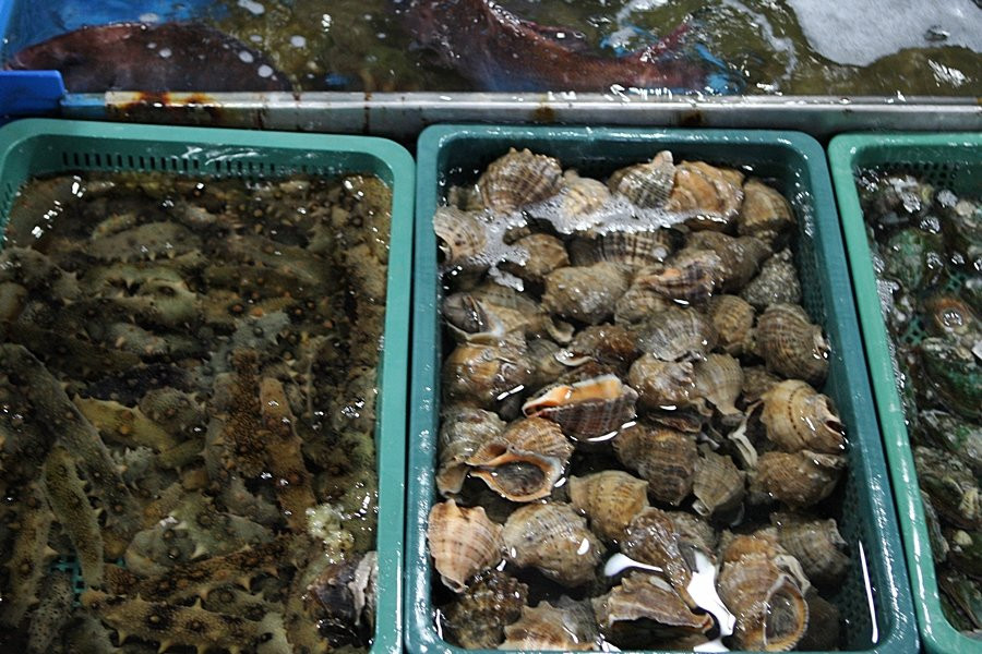 Suhyup Susanmul Center-高兴郡必去景点