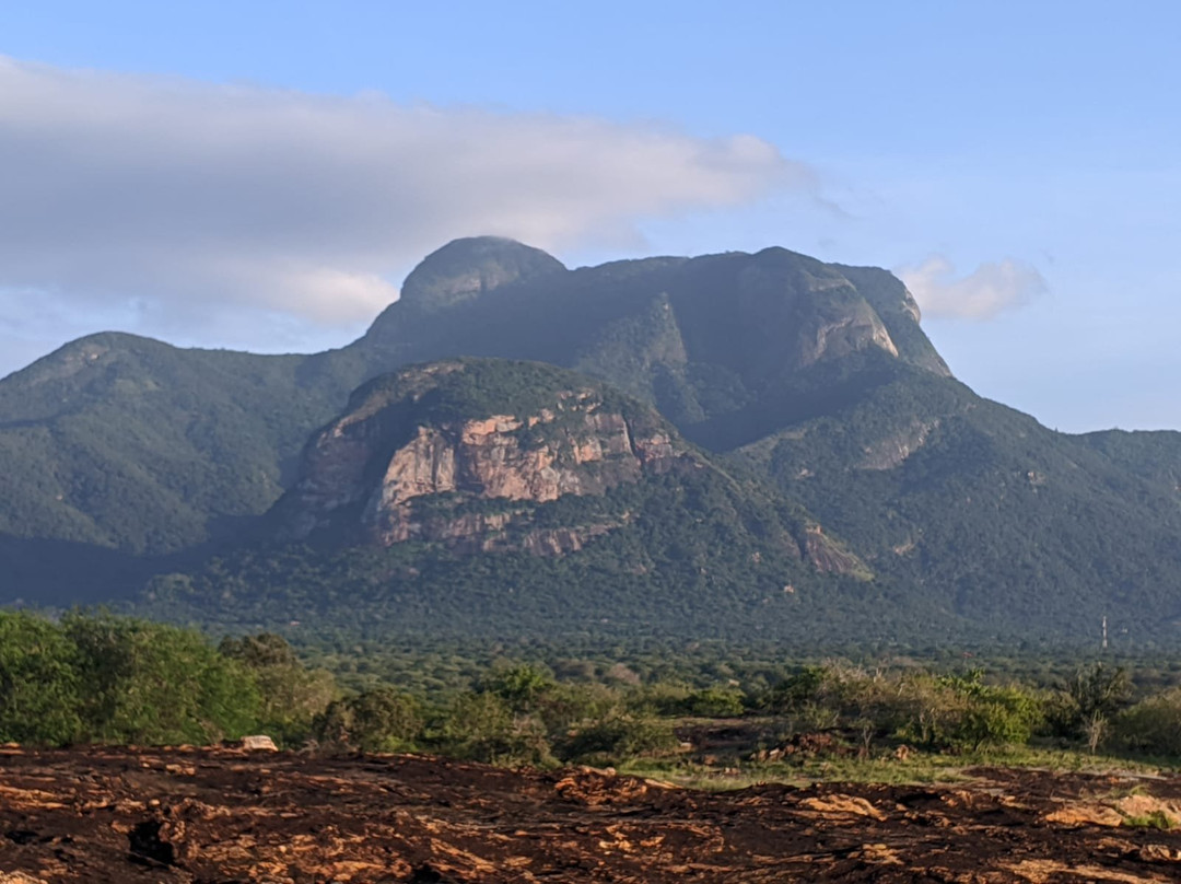 Kasigau Conservation Trust