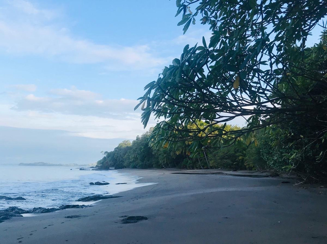 Camino Del Sol主图