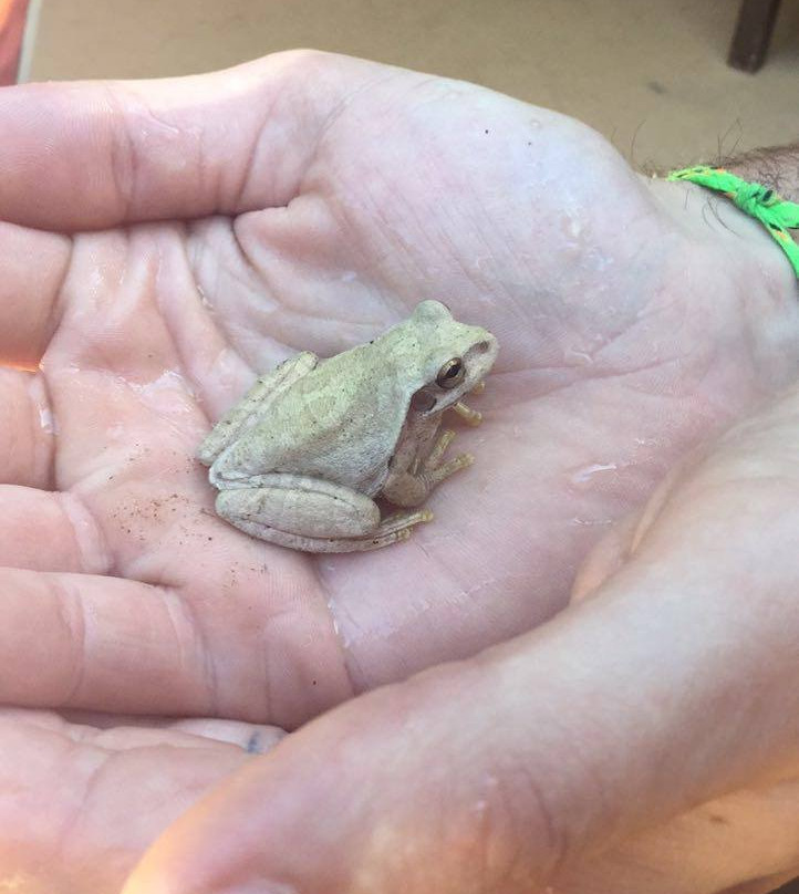 Mundo Milo Eco Lodge主图