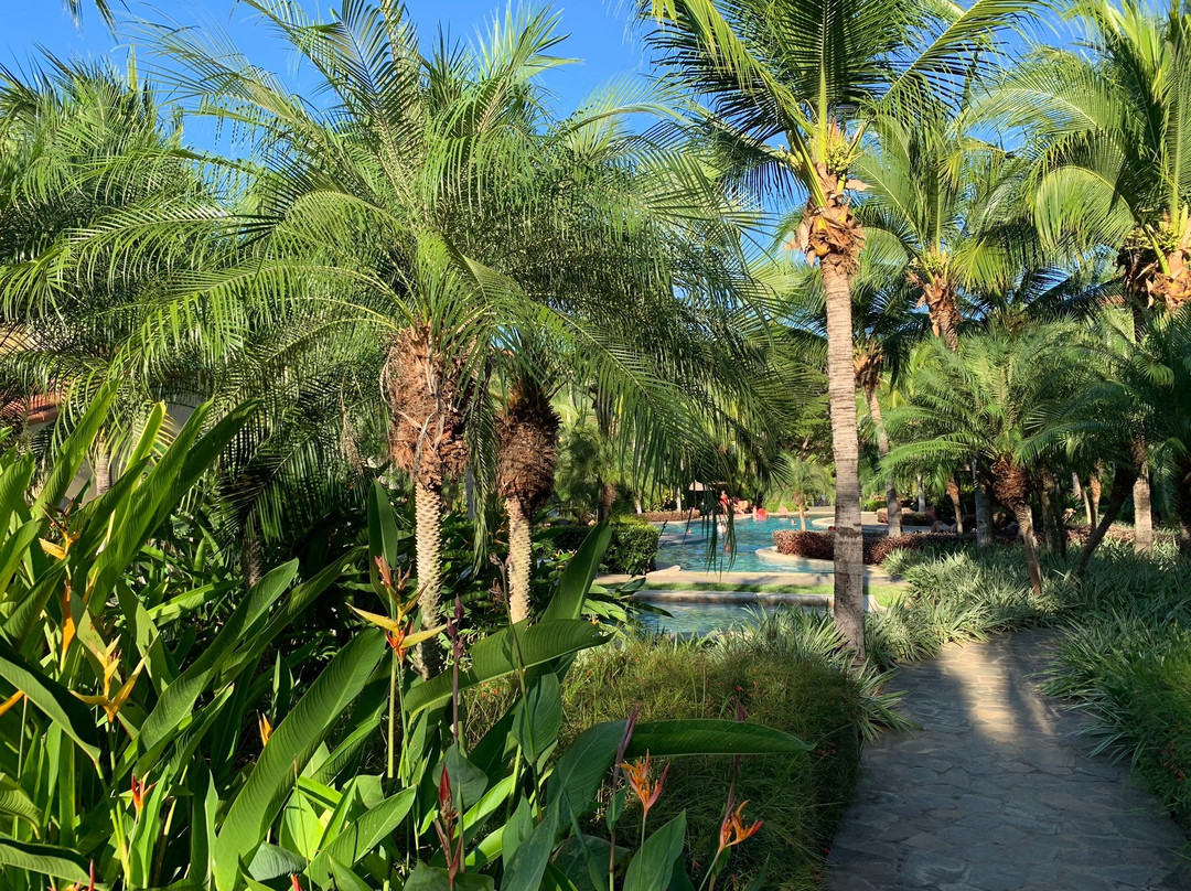 Pacifico Resort Condominiums