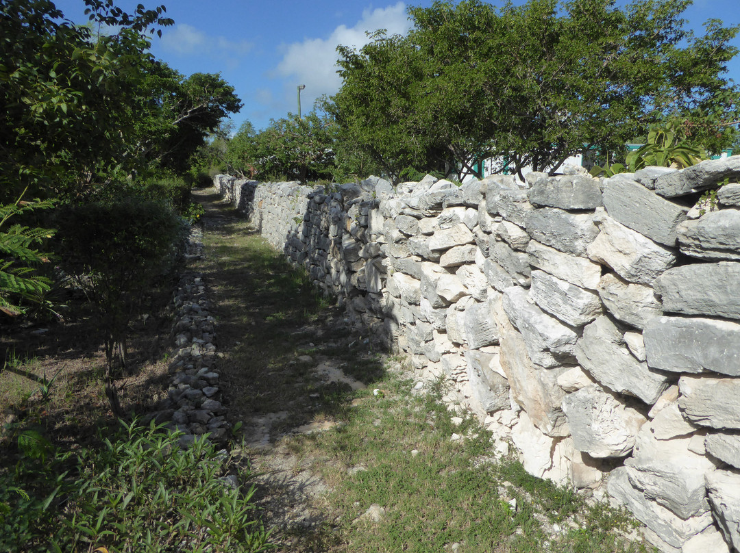 Cheshire Hall Plantation-普罗维登西亚莱斯必去景点