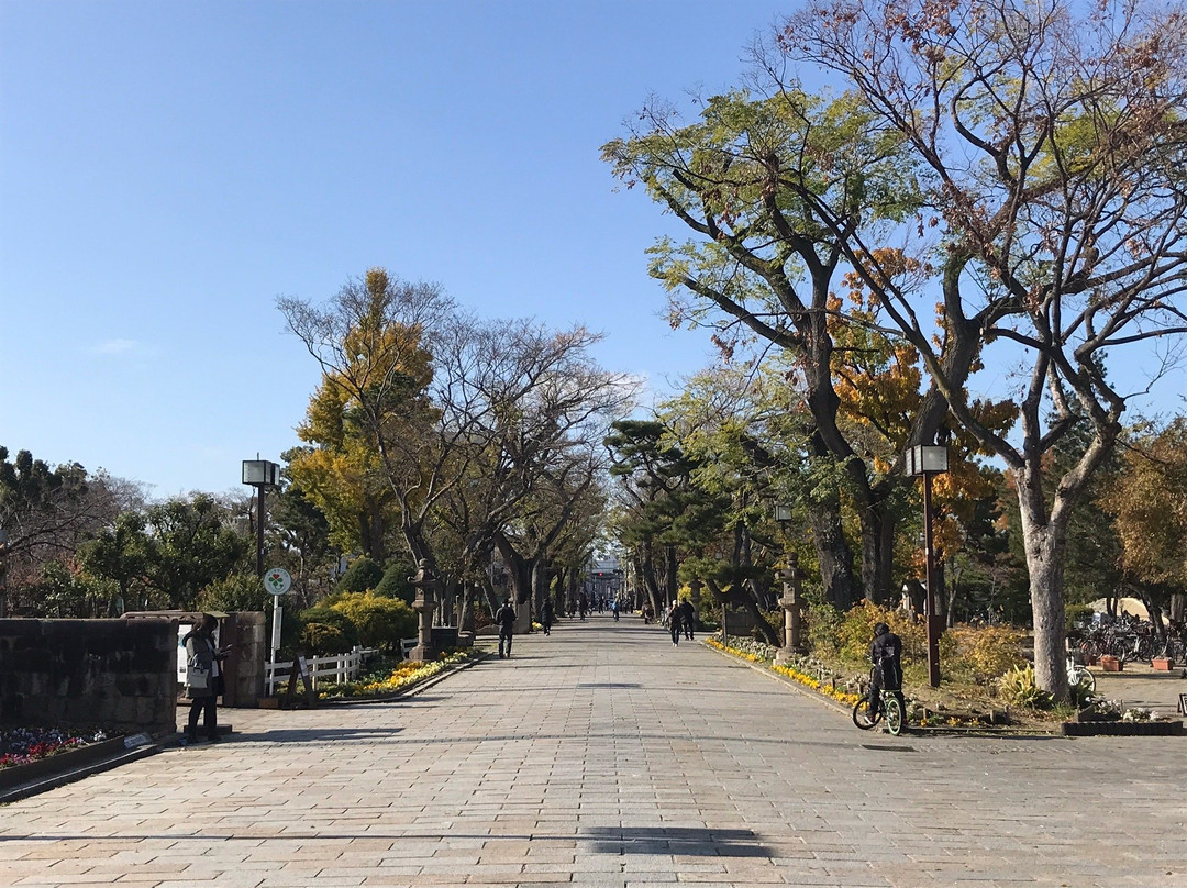 Sumiyoshi Park-大阪市必去景点