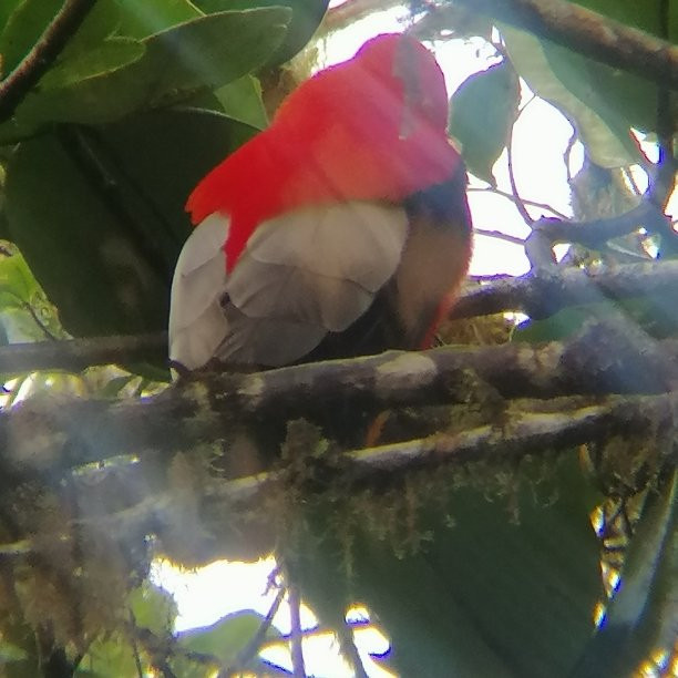 Cotopaxi National Park-Cotopaxi Province必去景点