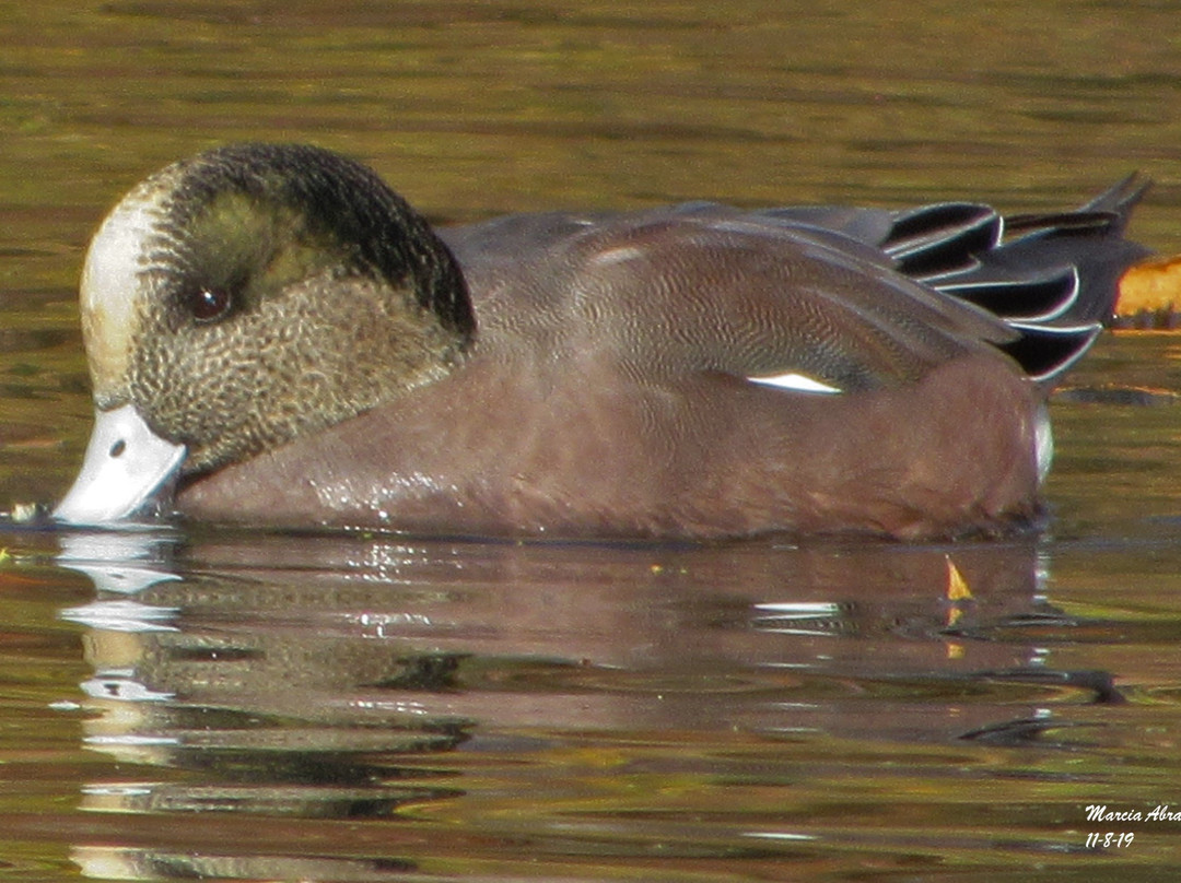 Fort Totten Park-Bayside必去景点