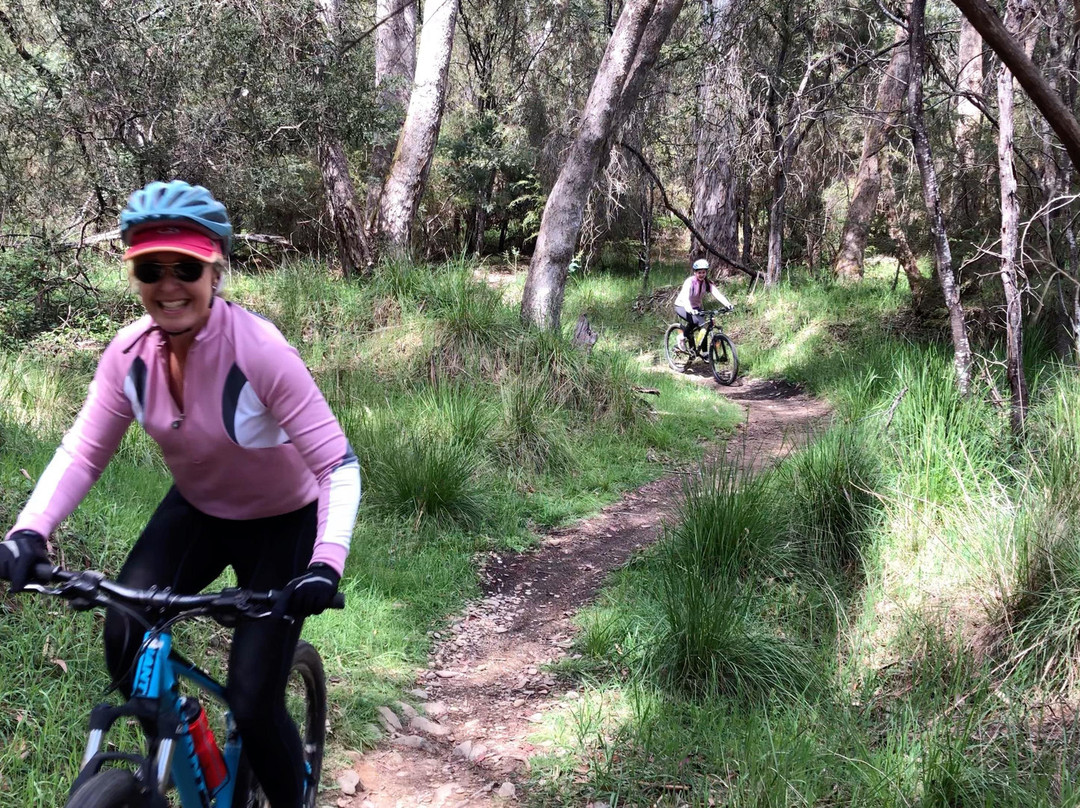 Bright MTB - Mountain Bike Guiding & Instructing-布赖特必去景点