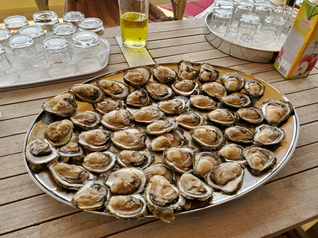 Mali Ston Oysters景点图片
