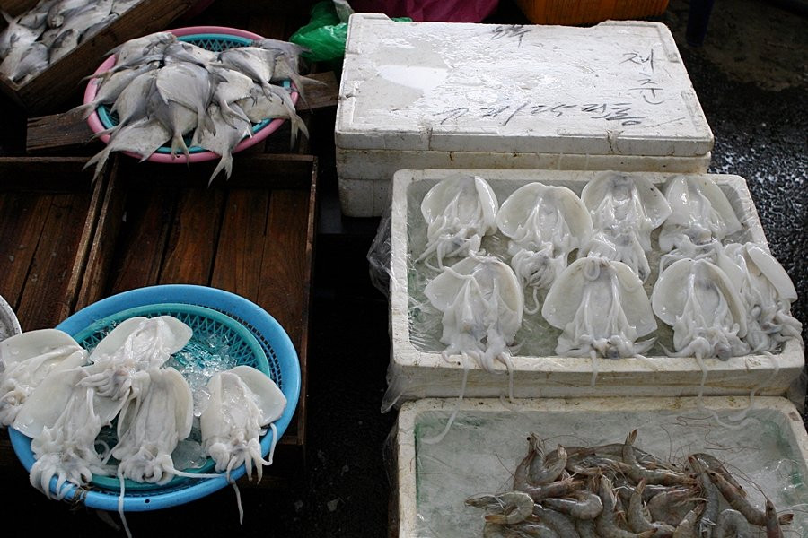 Yeosu Gyodong Market-丽水市必去景点
