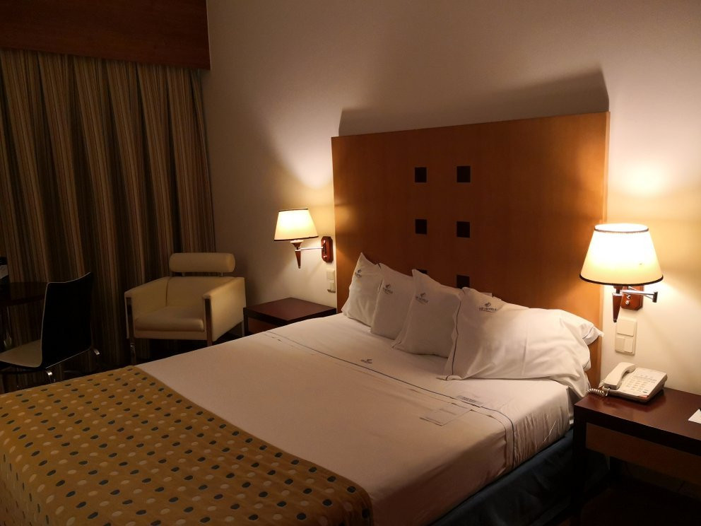 VIP Executive Santa Iria Hotel主图