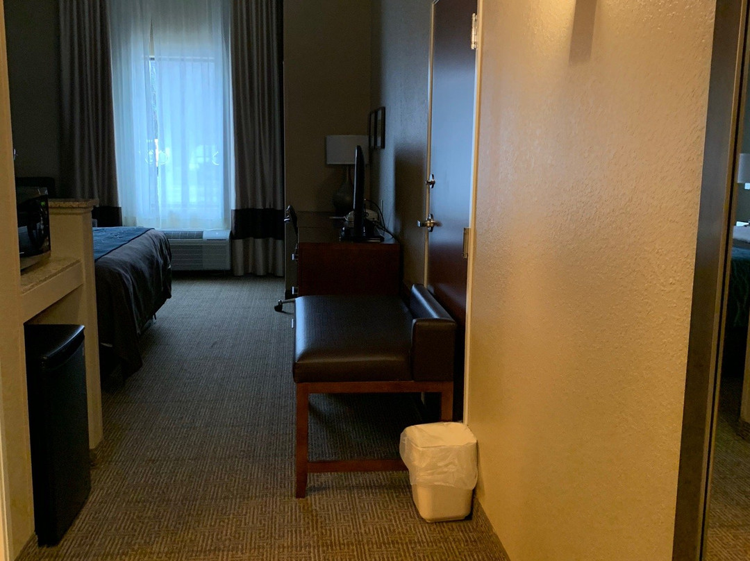 Comfort Inn & Suites Lynchburg Airport - University Area主图