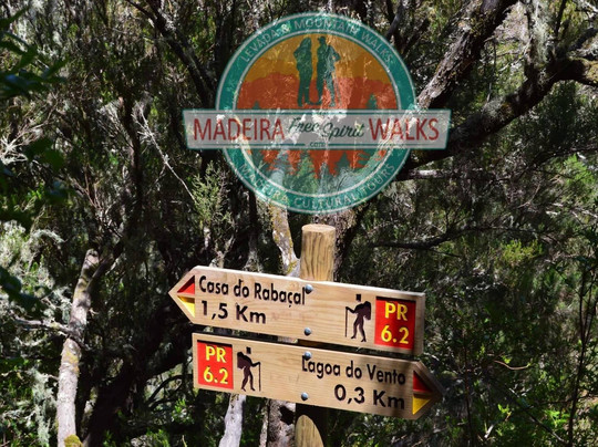 Madeira Free Spirit walks-沙尔必去景点