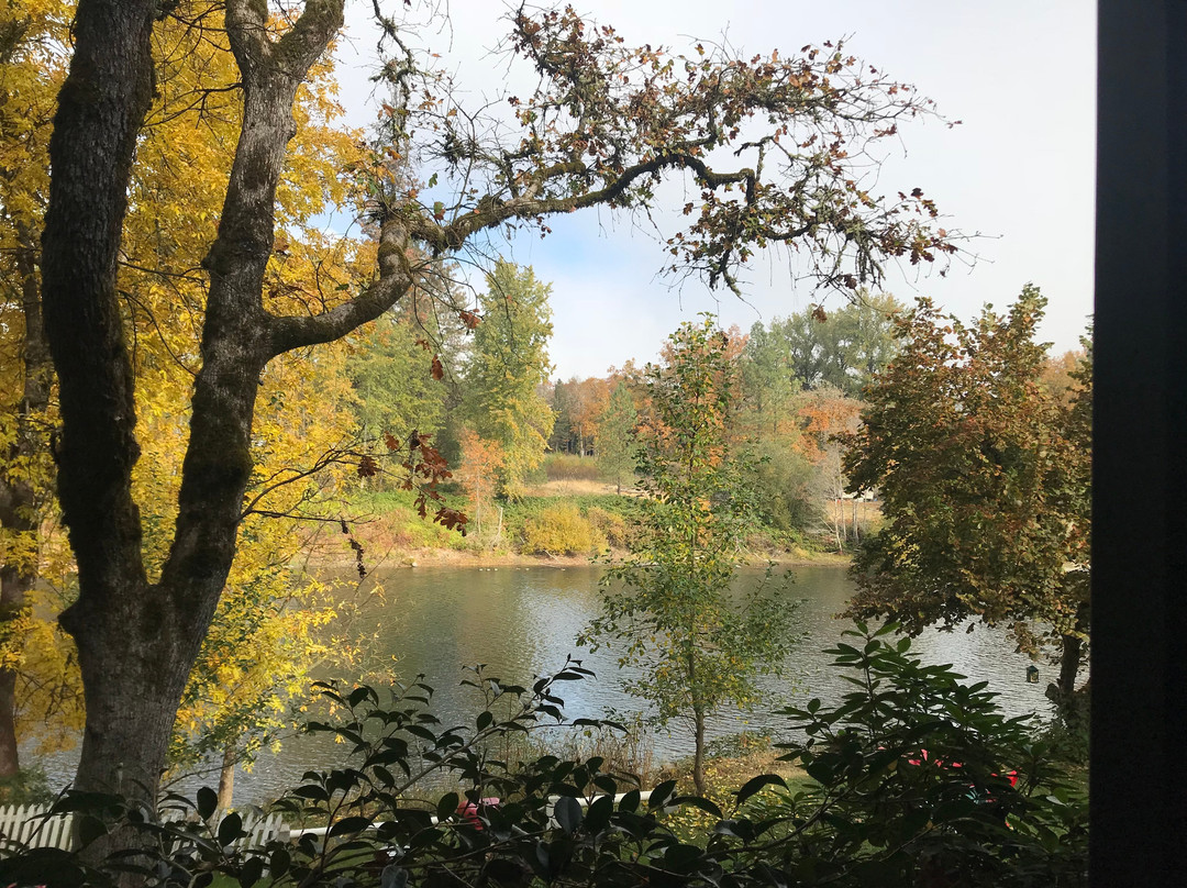 Motel Del Rogue主图